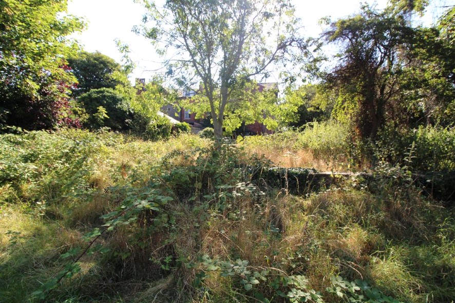 Lot Image