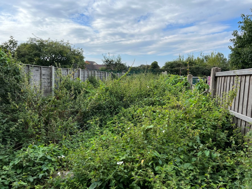 Lot Image