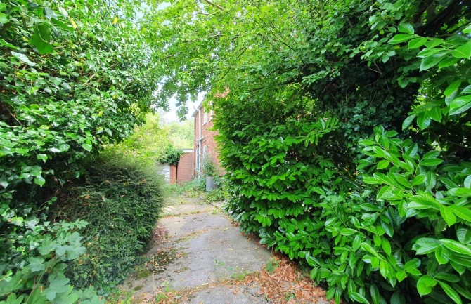 Lot Image