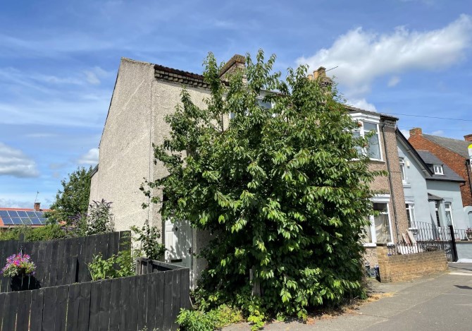 Lot Image