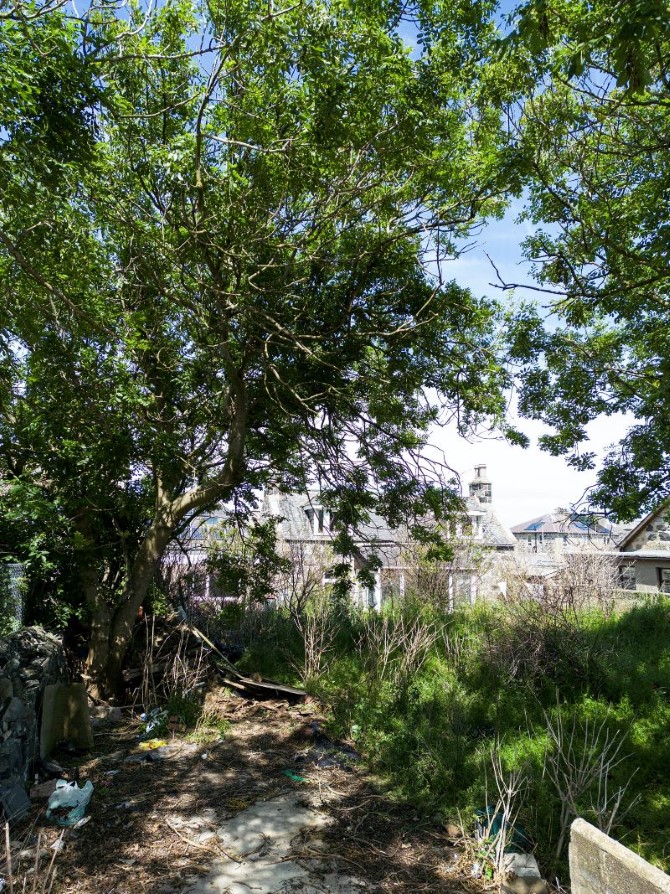 Lot Image