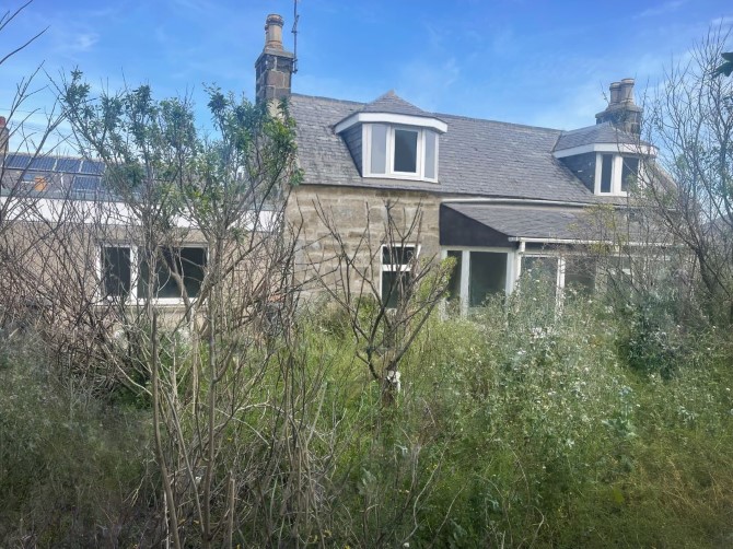 Lot Image
