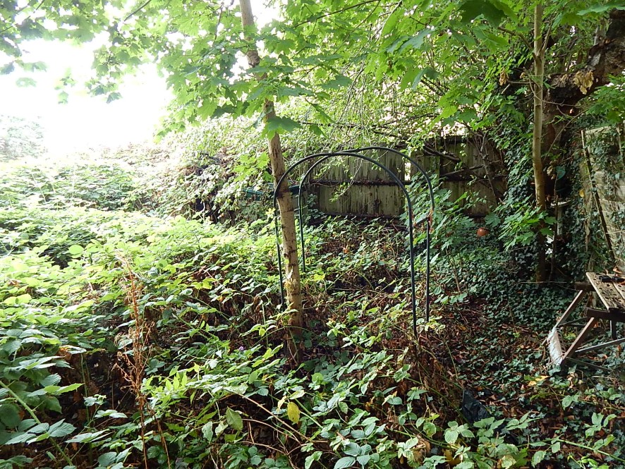 Lot Image