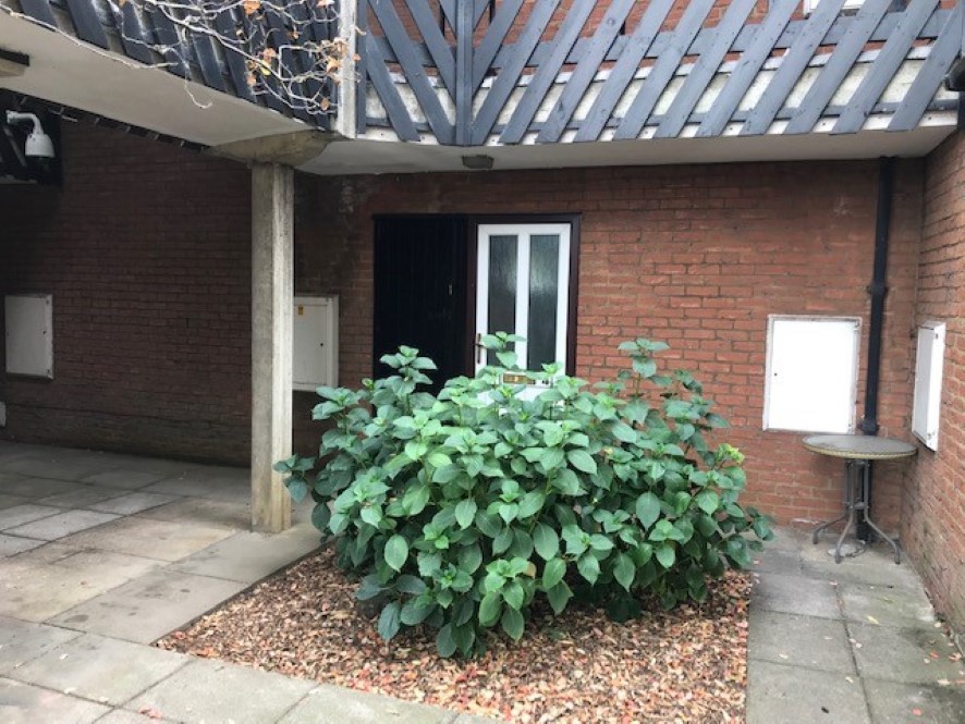 Lot Image