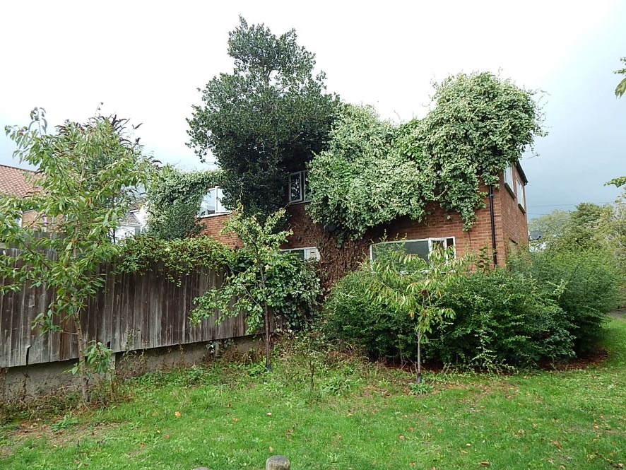 Lot Image
