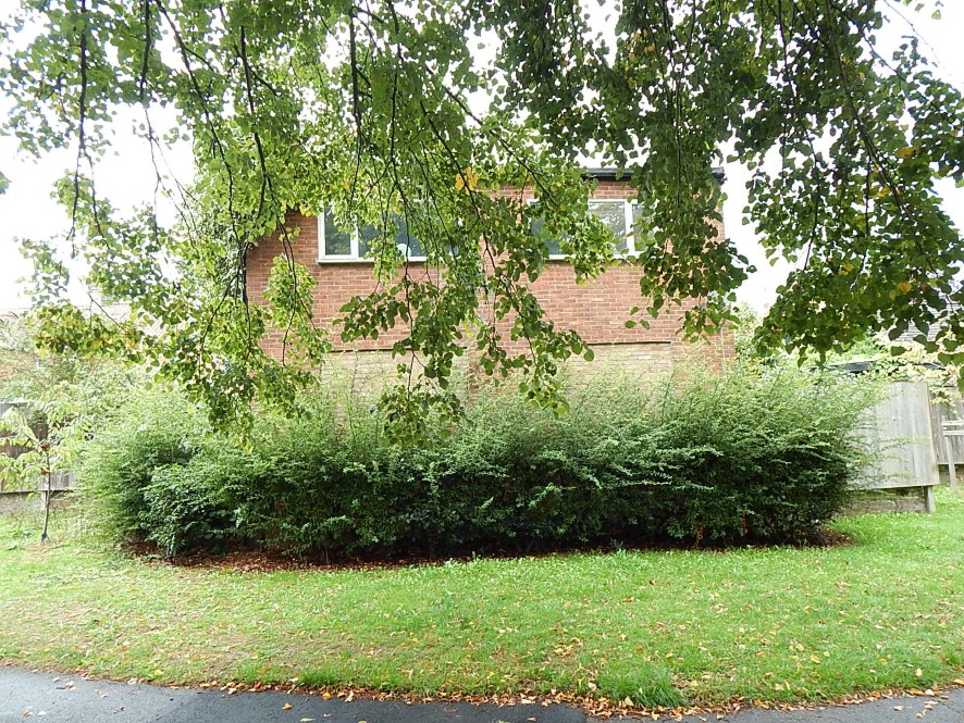 Lot Image