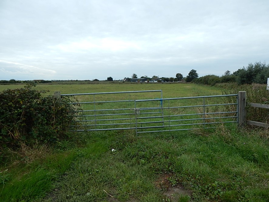Lot Image