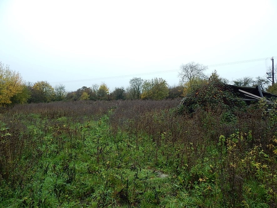 Lot Image