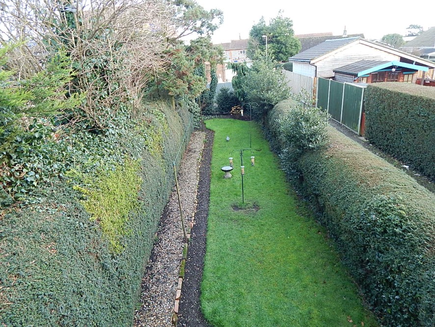 Lot Image