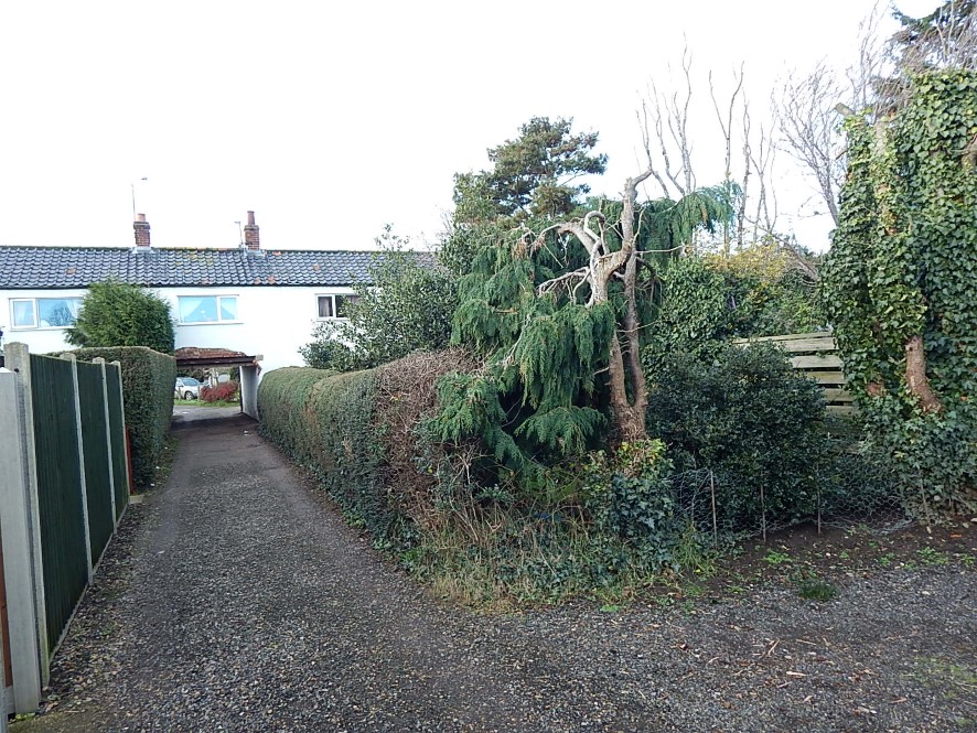 Lot Image