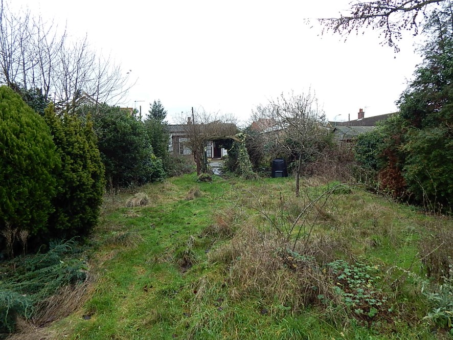 Lot Image