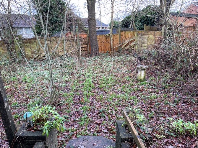 Lot Image