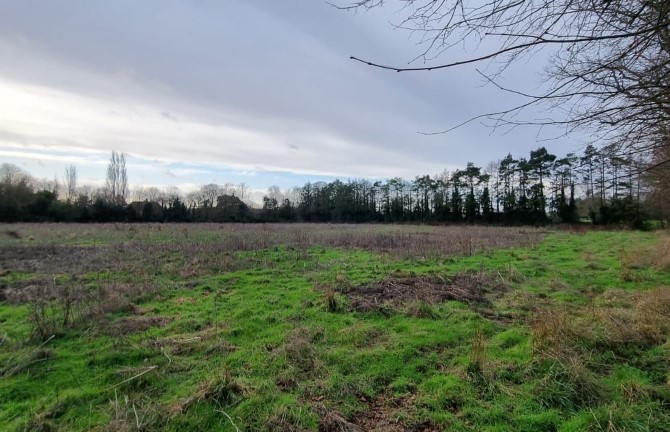 Lot Image