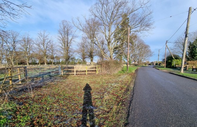Lot Image