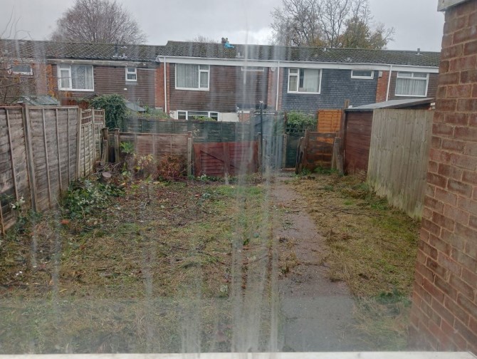 Lot Image