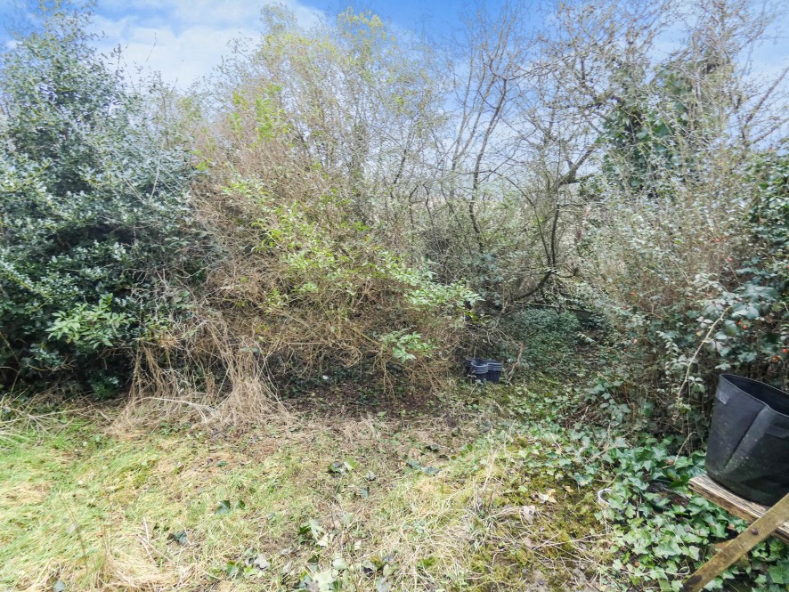 Lot Image