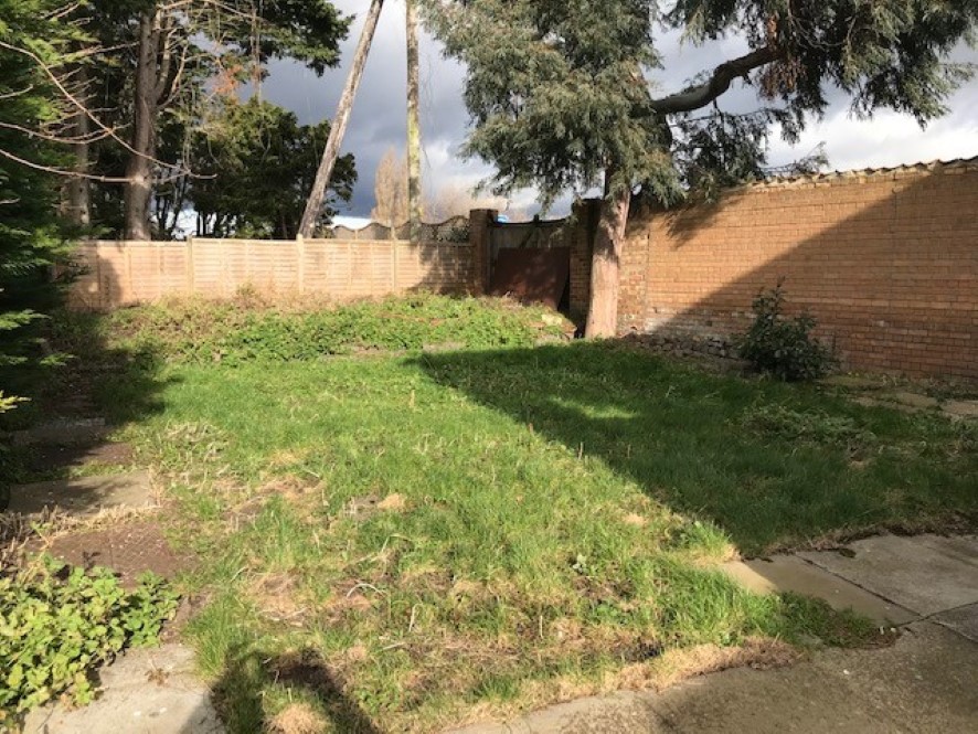 Lot Image