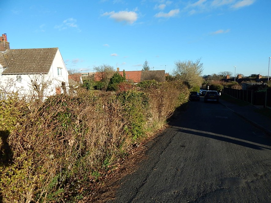 Lot Image
