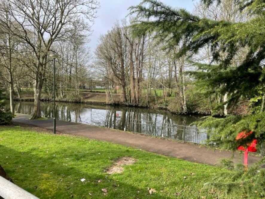 Lot Image