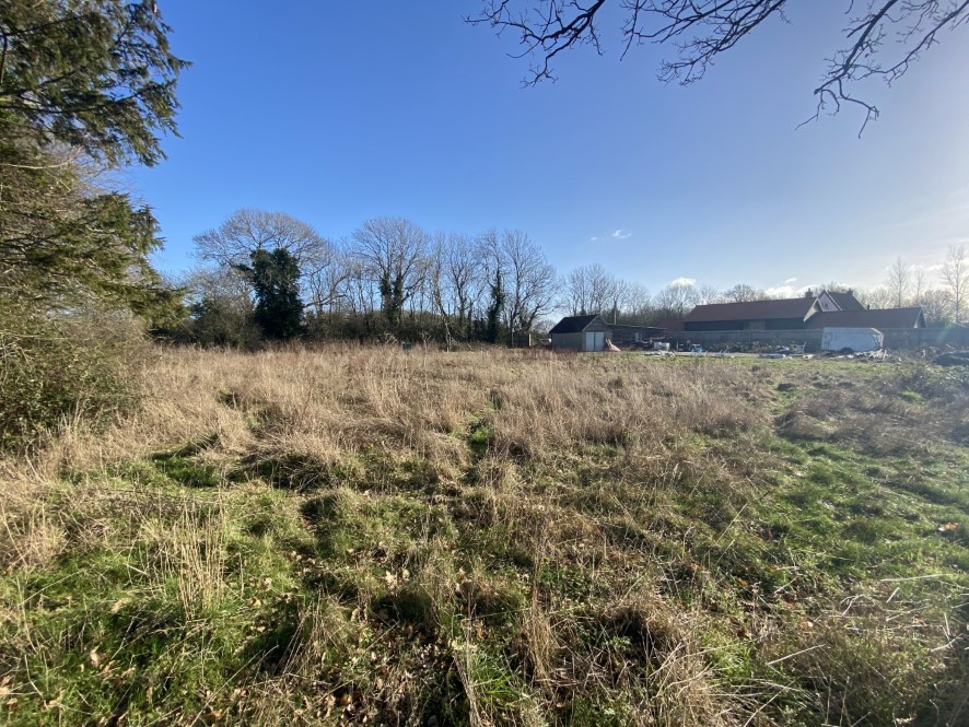 Lot Image