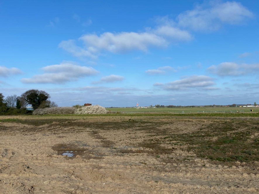 Lot Image