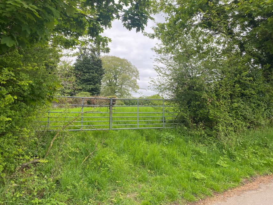 Lot Image