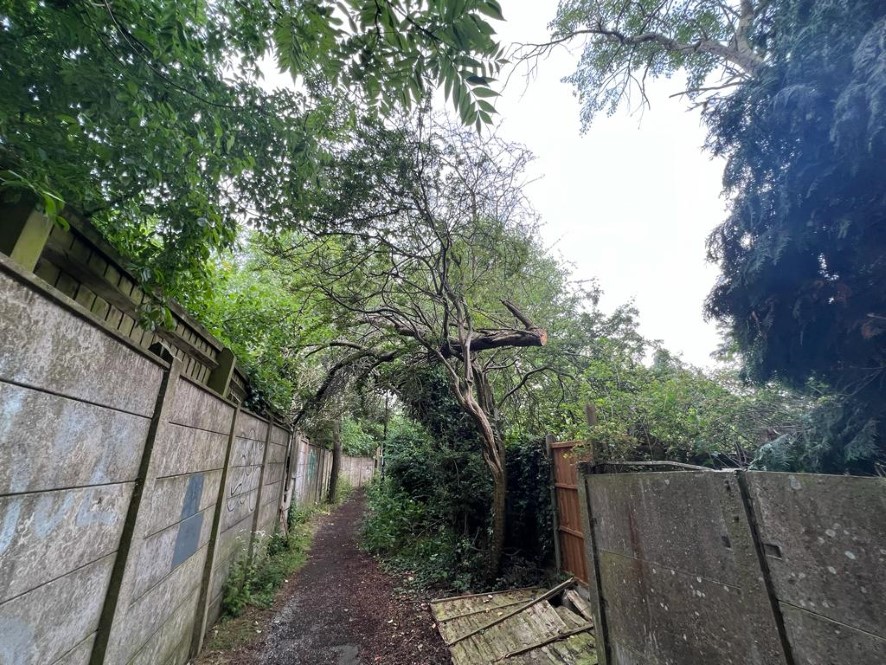 Lot Image