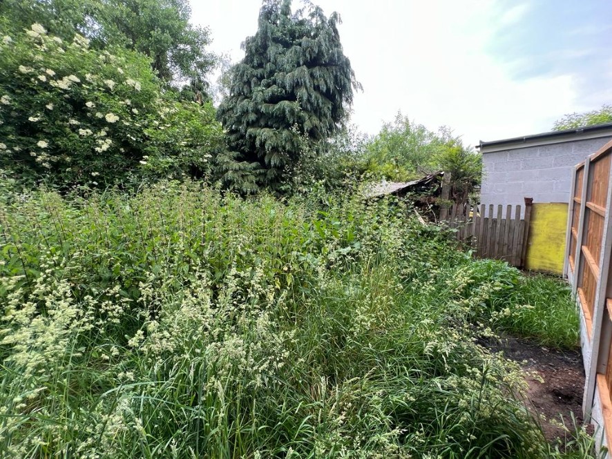 Lot Image
