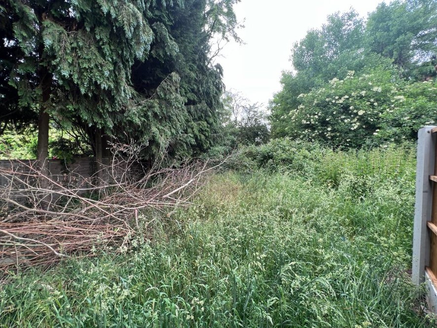 Lot Image