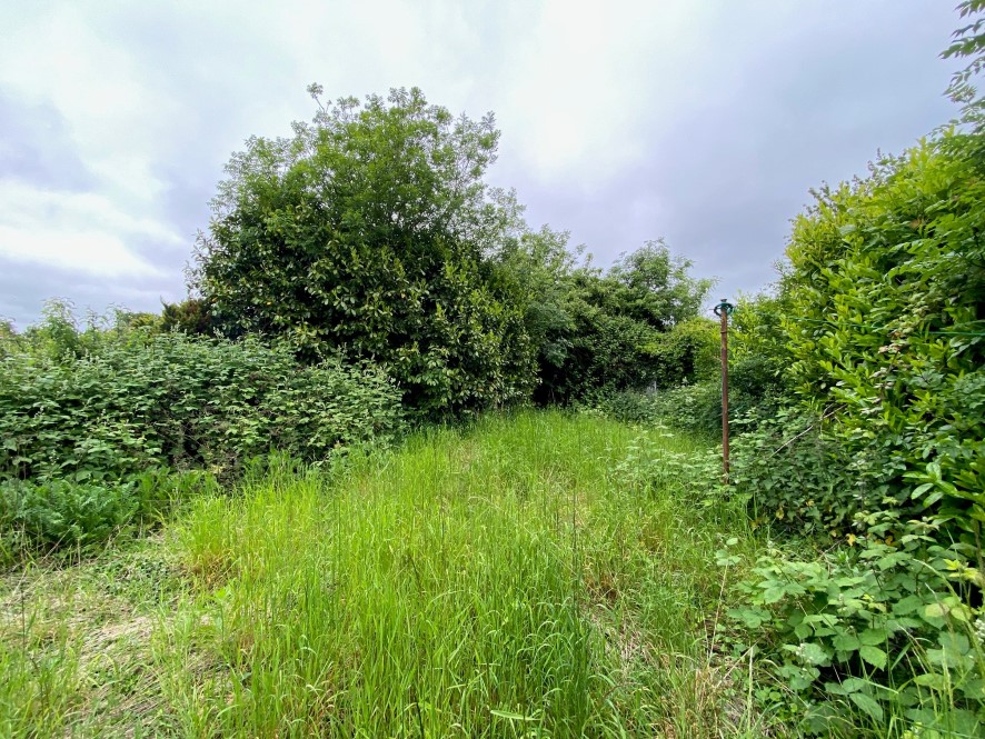 Lot Image