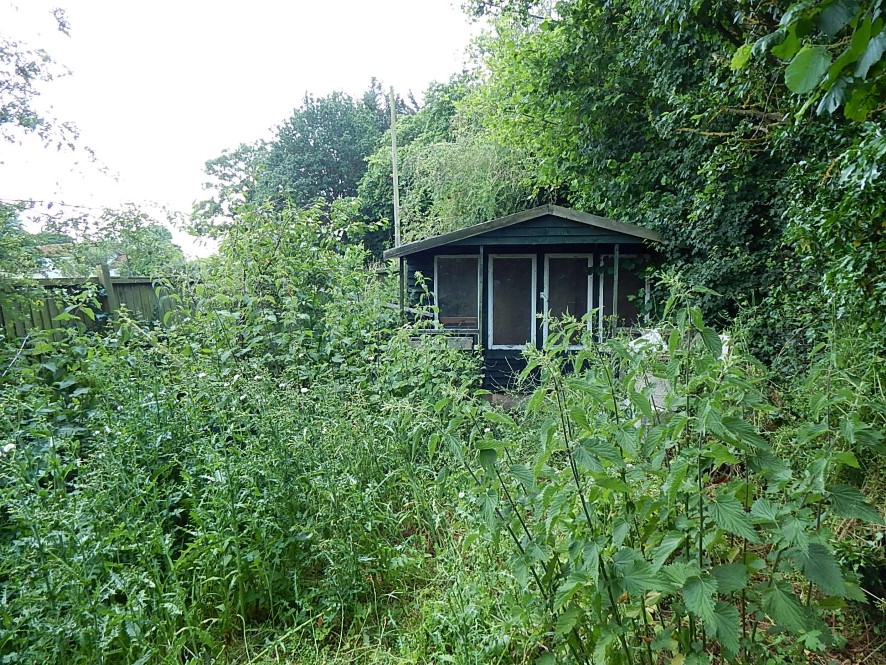 Lot Image