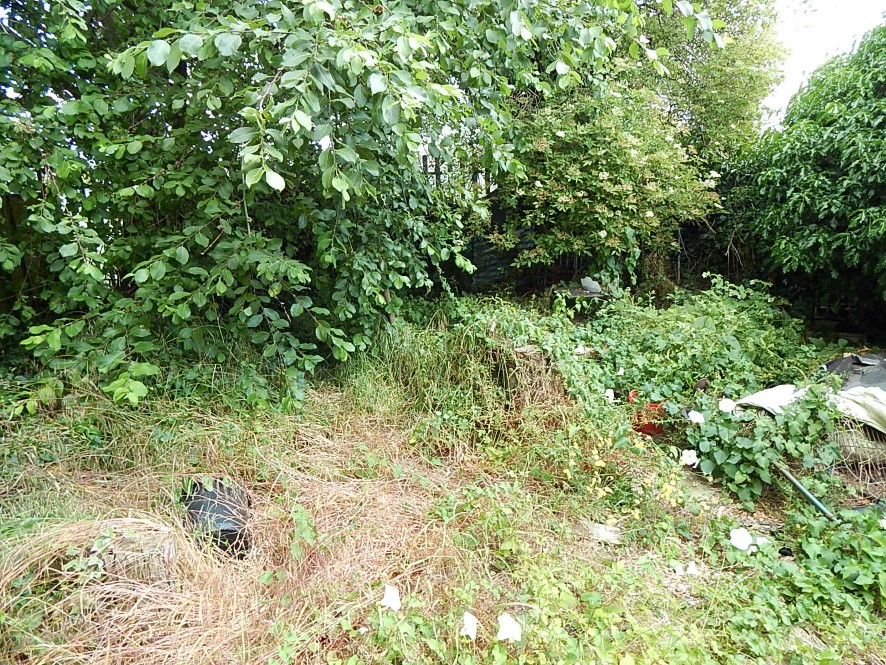 Lot Image