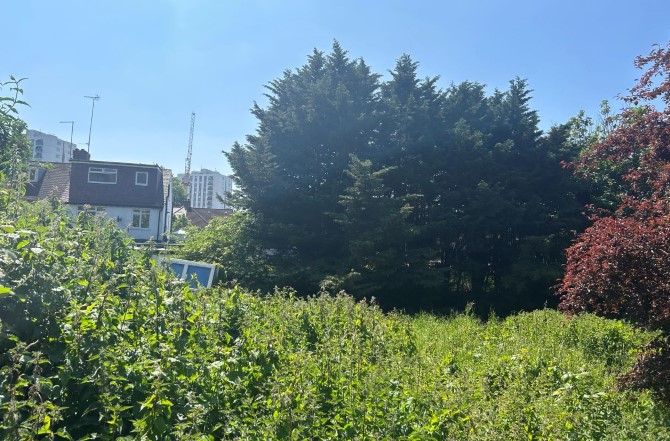 Lot Image