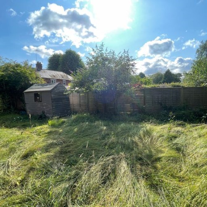 Lot Image