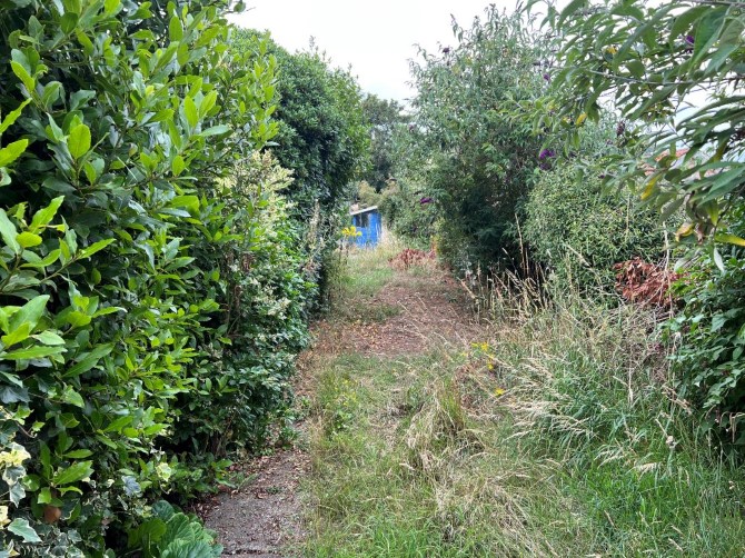 Lot Image