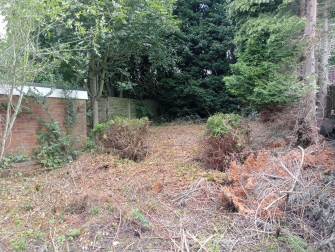 Lot Image