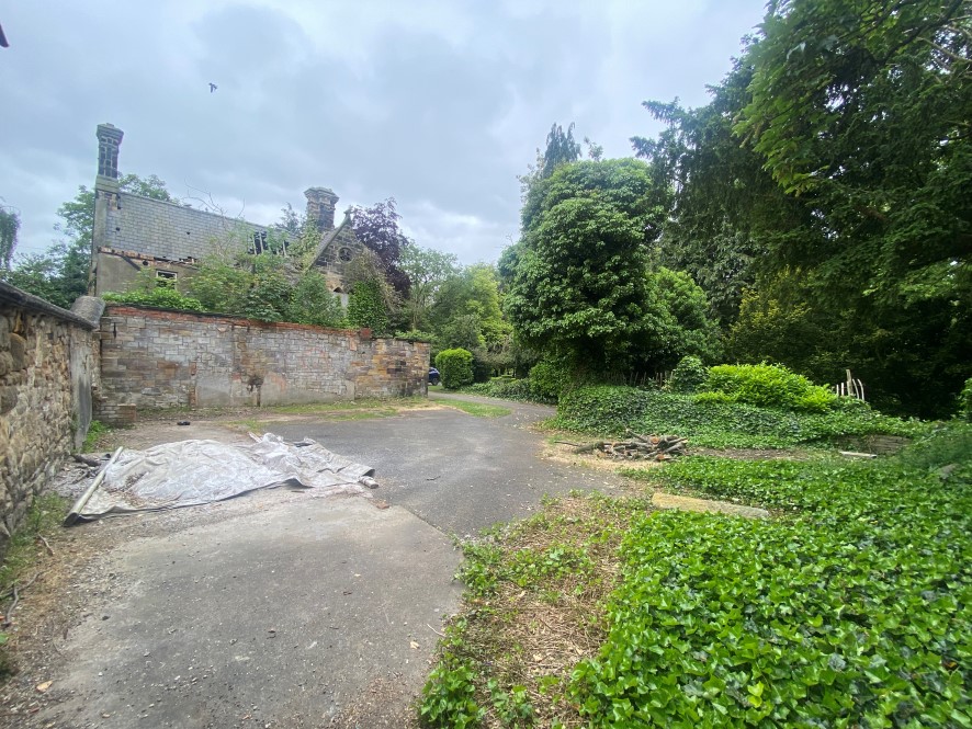 Lot Image