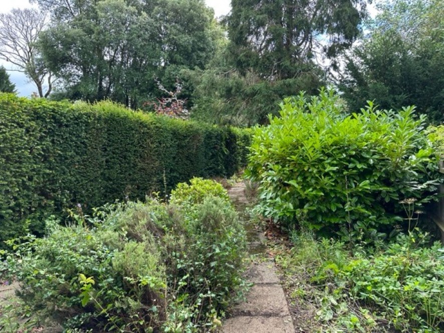 Lot Image