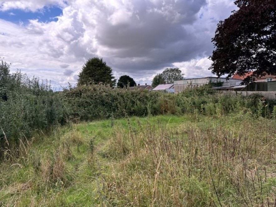 Lot Image