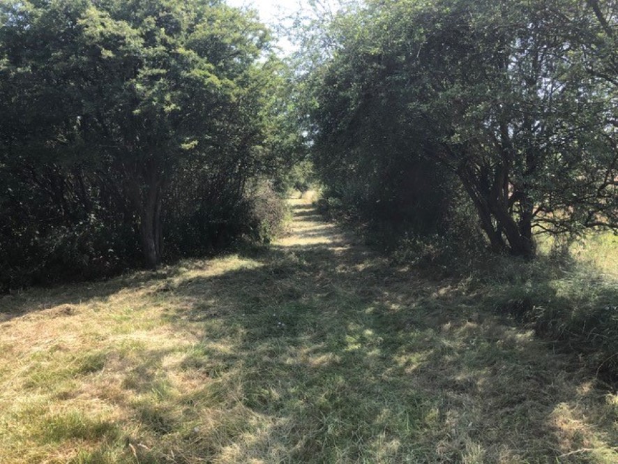 Lot Image