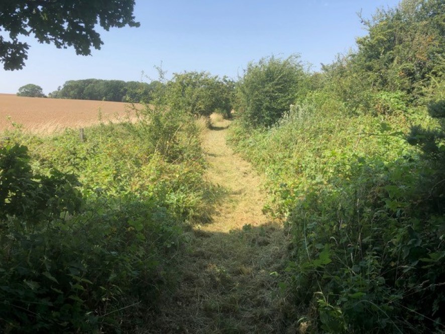 Lot Image