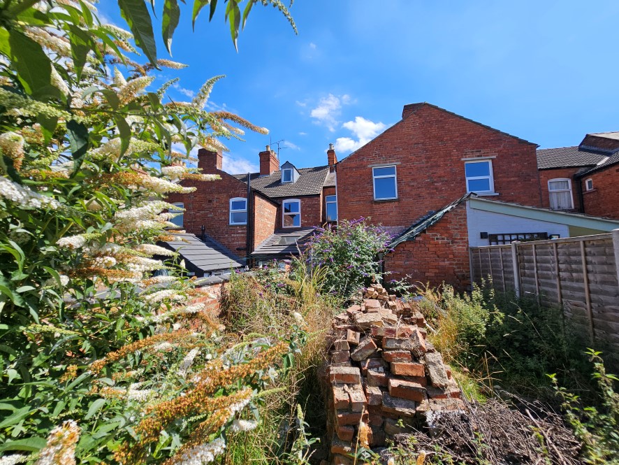 Lot Image