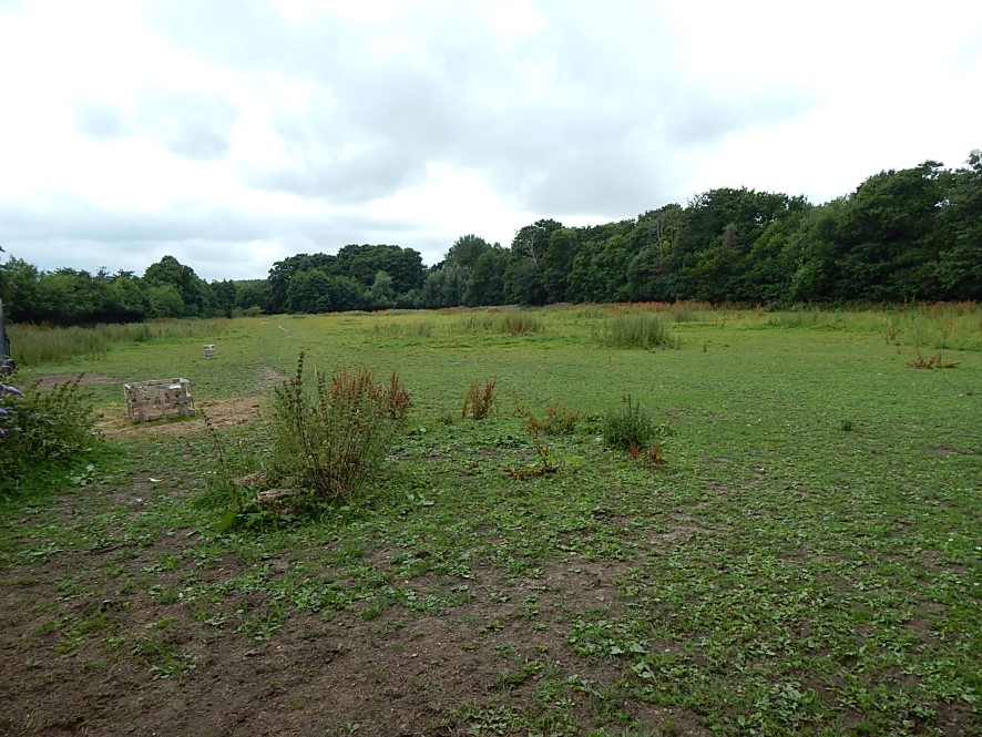 Lot Image