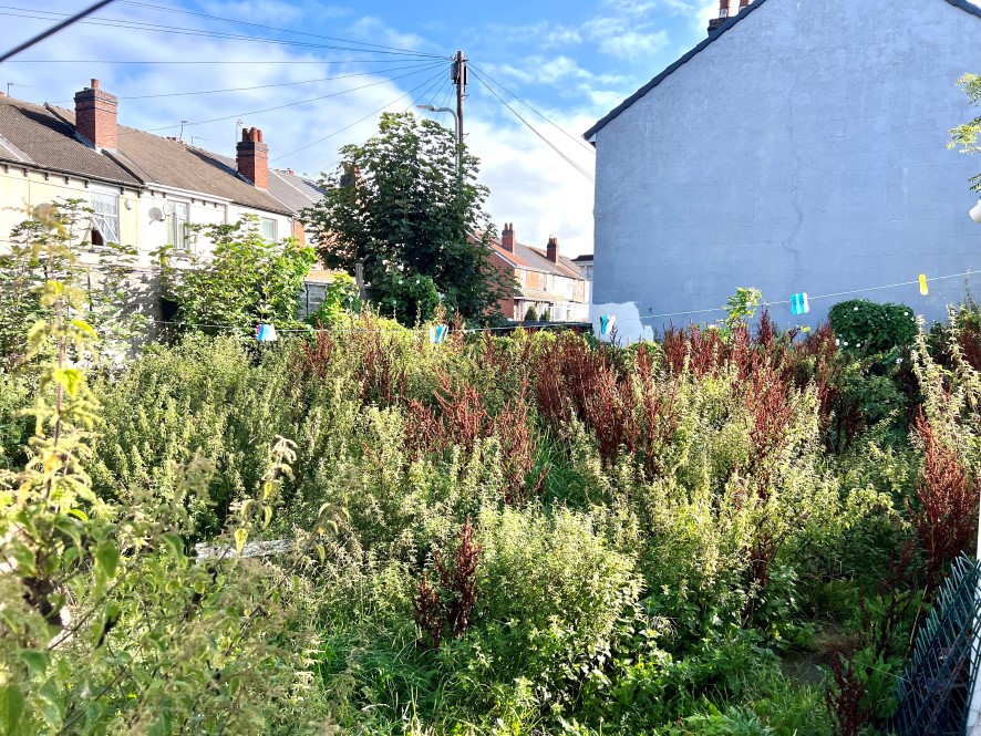 Lot Image