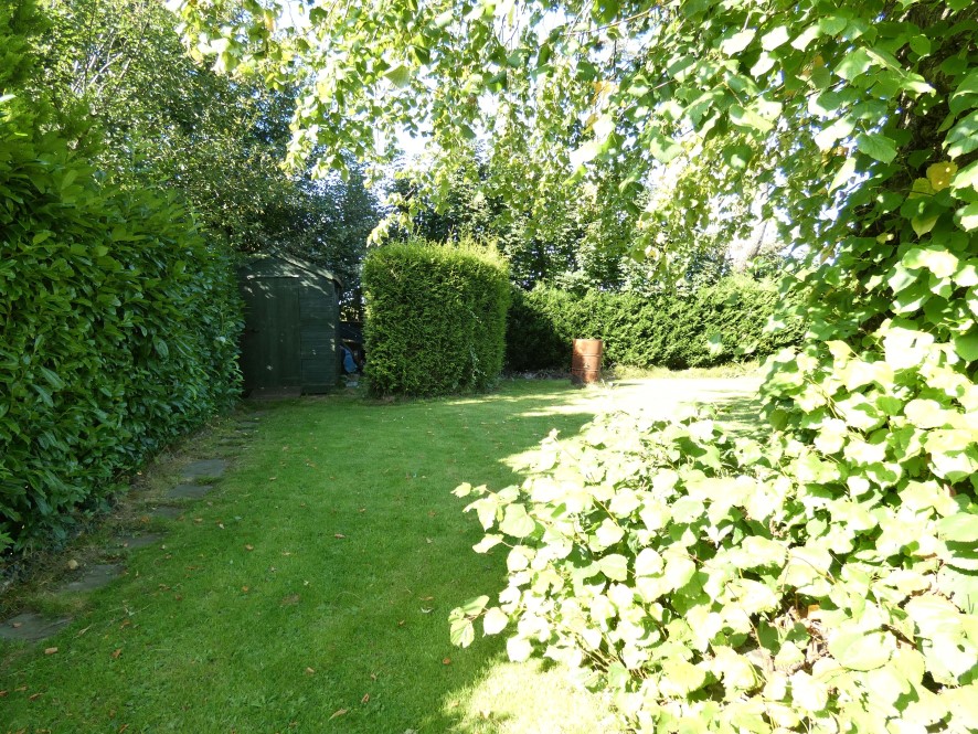 Lot Image