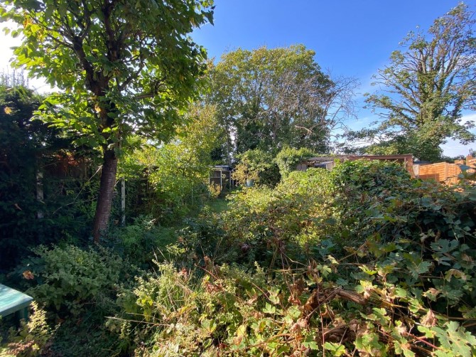 Lot Image