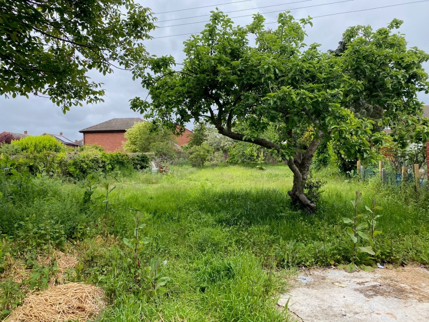 Lot Image