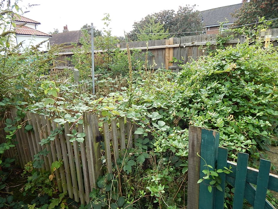 Lot Image