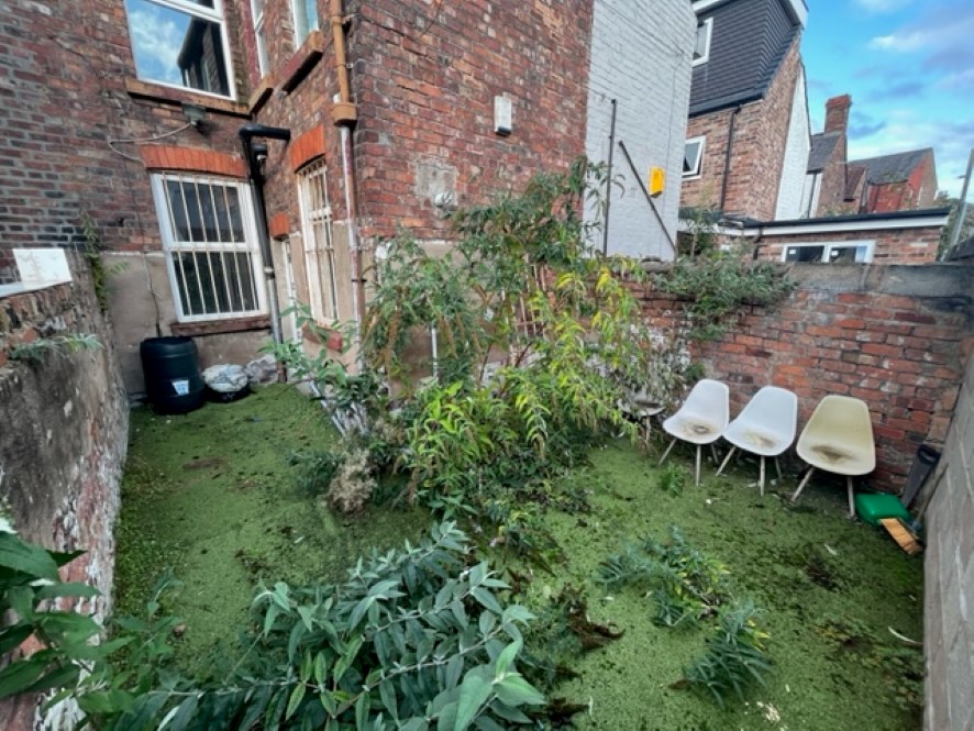 Lot Image