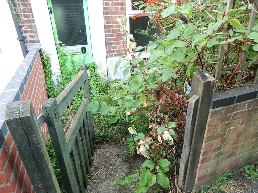 Lot Image